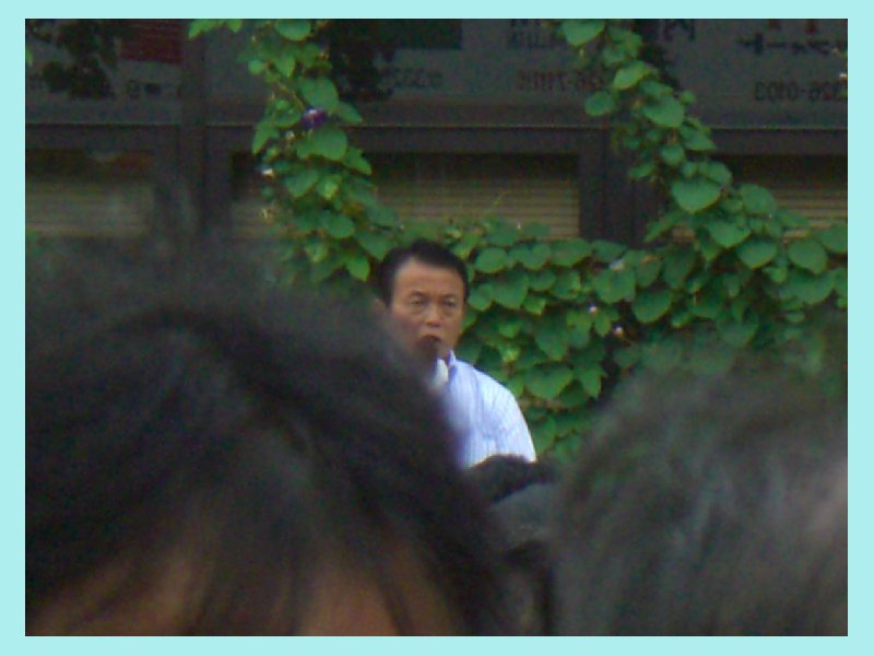 asoh206.jpg