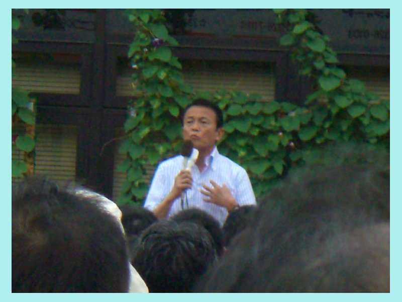 asoh207.jpg